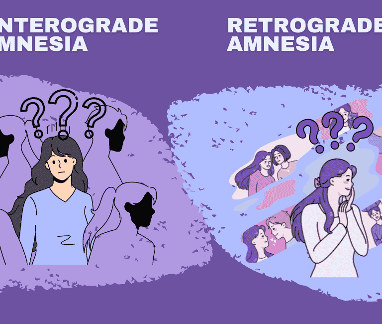 A Journey Into Anterograde and Retrograde Amnesia