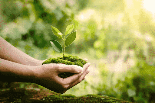 Bioremediation: Hope in a Polluted World