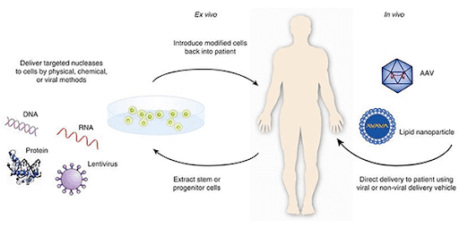 The Future of Gene Therapy: CRISPR TOOL