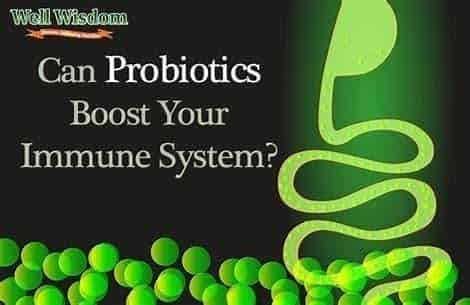 The Rise of Probiotics: The Impact of Gut Bacteria on the Immune System